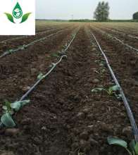 Labyrinth drip irrigation belt. Infusion belt. Agricultural belt. Anti-clogging and light weight field greenhouse water-saving irrigation single-wing labyrinth drip irrigation belt