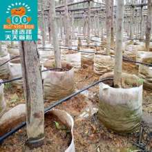 PE pipe processing and customization of various specifications and thickness PE coil water-saving irrigation drip irrigation sprinkler irrigation plastic pipe PE pipe hose. Soft. Infusion pipe