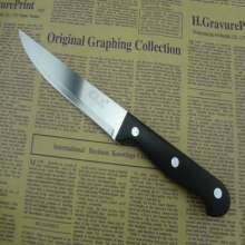 Pointed Fruit Knife with Plastic Handle, Portable Travel Knife, Multi-function Stainless Steel Fruit Knife