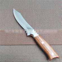 Factory direct sale Troy 520 stainless steel fruit knife Yangjiang fruit knife Kitchen knife small fruit