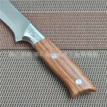 Factory direct sale Troy 520 stainless steel fruit knife Yangjiang fruit knife Kitchen knife small fruit