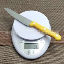 Factory direct sale Troy 511 stainless steel fruit knife fruit knife kitchen knife small fruit