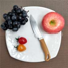 379 Factory Direct Troy Stainless Steel Fruit Knife Fruit Knife Kitchen Knife Small Fruit