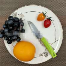 Factory direct sale Troy 318 stainless steel fruit knife kitchen knives for small fruits