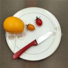 Factory direct sale Troy 354 stainless steel fruit knife kitchen knives for small fruits