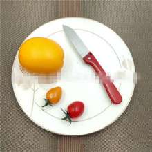 Factory direct sale Troy 354 stainless steel fruit knife kitchen knives for small fruits