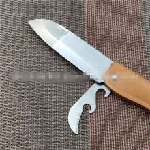 Factory direct sale Troy 357 stainless steel fruit knife kitchen knives for small fruits