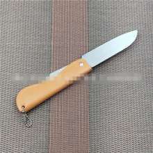 Factory direct sale Troy 357 stainless steel fruit knife kitchen knives for small fruits