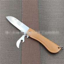 Factory direct sale Troy 357 stainless steel fruit knife kitchen knives for small fruits