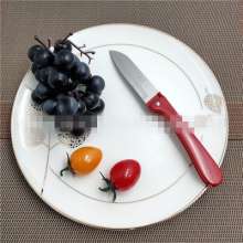 Factory direct sale Troy 316 stainless steel fruit knife kitchen knife small fruit