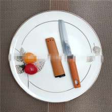 Factory direct sale Troy 294 stainless steel fruit knife kitchen knives for small fruits