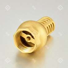 Bridge shield 4 points 6 points brass water pump bottom valve. 1 inch 2 inch vertical one-way filter check valve