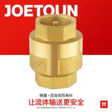 Bridge shield valve vertical brass check valve. Check valve. Spring type check valve check valve anti-reverse flow 4 minutes 6 minutes 1 inch