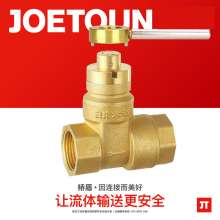 Bridge shield valve. Brass with check gate valve. Tap water service magnetic lock valve anti-theft heating check lock valve