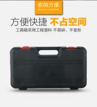 Car air pump double cylinder 220V household 12V car electric air pump portable bicycle air pump