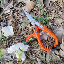 Fruit picking shears, fruit thinning shears, SK5 steel pruning shears, fruit, branch, vegetable and fruit shears