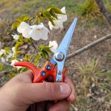 Fruit picking shears, fruit thinning shears, SK5 steel pruning shears, fruit, branch, vegetable and fruit shears