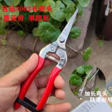 Famous diamond 3002 stainless steel long elbow fruit picking scissors thin fruit scissors thinning flowers grape picking scissors tomato scissors gardening scissors