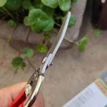 Famous diamond 3002 stainless steel long elbow fruit picking scissors thin fruit scissors thinning flowers grape picking scissors tomato scissors gardening scissors