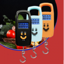 Household portable electronic scale. Scale. Mini portable scale, portable 50kg luggage express parcel hook scale. Fishing gram scale