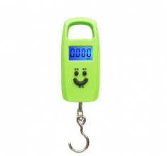 Household portable electronic scale. Scale. Mini portable scale, portable 50kg luggage express parcel hook scale. Fishing gram scale