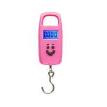 Household portable electronic scale. Scale. Mini portable scale, portable 50kg luggage express parcel hook scale. Fishing gram scale