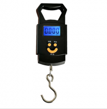 Portable Electronic Hand Scale. Mini Electronic Scale. Express Luggage Scale Spring Scale 50kg Electronic Scale. Scale. Shopping Scale