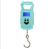 Portable Electronic Hand Scale. Mini Electronic Scale. Express Luggage Scale Spring Scale 50kg Electronic Scale. Scale. Shopping Scale