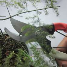 Branch shears, garden hardware tools, crescent bend-shaped branches, plastic scissors, fruit shears