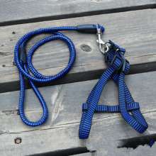 Manufacturers produce pet leashes, small and medium-sized dog chains, pet supplies, leashes