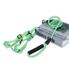 Dog leash dog chain dog leash collar cat rope small dog medium large teddy golden retriever pet supplies
