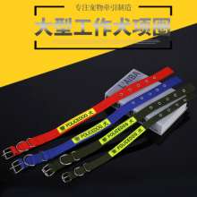 Factory direct sales dog collar working dog collar medium and large dog traction collar flat pet products