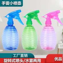 Grenade small watering can. Water spraying can. Hand pressure spray can. Spray bottle.