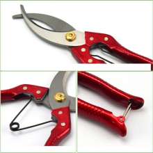 Bagel girdling tool. Fruit tree ring cut. Grape peeling shears ring cutter. Garden scissors. Aluminum iron handle
