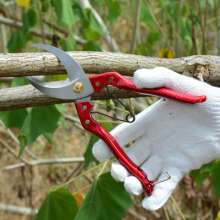 Bagel girdling tool. Fruit tree ring cut. Grape peeling shears ring cutter. Garden scissors. Aluminum iron handle