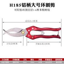 Bagel girdling tool. Fruit tree ring cut. Grape peeling shears ring cutter. Garden scissors. Aluminum iron handle