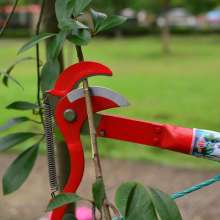 Labor-saving pulley garden high-altitude shears. Fruit picking scissors. Bold drawstring trimming. Simple high altitude scissors