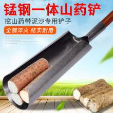 Bucket shovel for digging yam. Yam shovel. Yam spade. Set shovel set shovel steel shovel shovel Luoyang shovel
