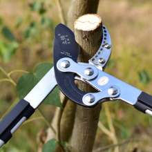 Lijin fruit tree thick branch shears. Telescopic shears. Labor-saving household pruning shears, high branch shears, armor 120A