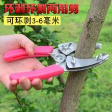 Sagawata's second-generation four-blade fruit tree ring cutting shears. Open a ring. Peeling grape lychee jujube tree peeling shear ring cutting tool