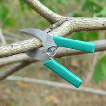 Garden girdling tools. Ring cutter for agricultural fruit trees. Ring branch shears. Small bark knife