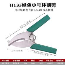 Garden girdling tools. Ring cutter for agricultural fruit trees. Ring branch shears. Small bark knife