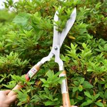 Lijin gardening large branch shears and hedge shears. Greening shears. Pruning flowers and trees. Lawn shears. Simple hedge shears with wooden handle