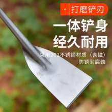 Flower shovel and seedling shovel. Stainless steel iron handle garlic shovel for digging wild vegetables. Mini shovel. Gardening shovel and weeding tool for planting flowers and vegetables