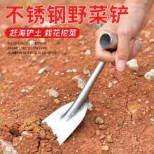 Flower shovel and seedling shovel. Stainless steel iron handle garlic shovel for digging wild vegetables. Mini shovel. Gardening shovel and weeding tool for planting flowers and vegetables