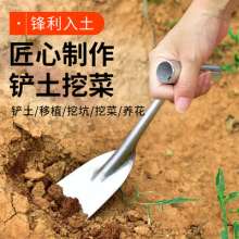 Flower shovel and seedling shovel. Stainless steel iron handle garlic shovel for digging wild vegetables. Mini shovel. Gardening shovel and weeding tool for planting flowers and vegetables