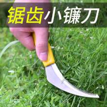 Stainless steel mowing. Mowing grass with tooth sickle. Small sickle garden agricultural serrated sickle. Small grass weeding knife H4386