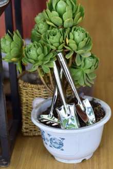 Lijin stainless steel gardening three-piece set. Mini set of three. Succulent planting shovel. rake garden tool