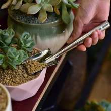 Lijin stainless steel gardening three-piece set. Mini set of three. Succulent planting shovel. rake garden tool
