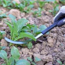 Manganese steel lengthened small tooth sickle. Grass sickle. Xiaohe sickle. Harvest sickle. sickle